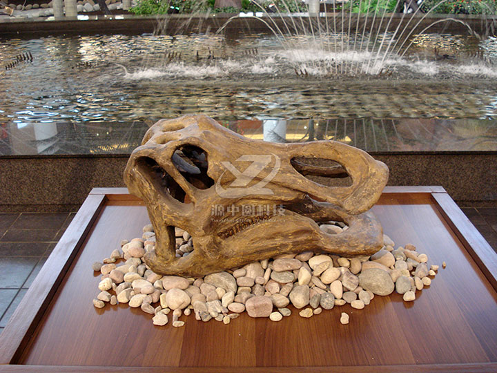 恐龍化石展出，恐龍骨頭標(biāo)本